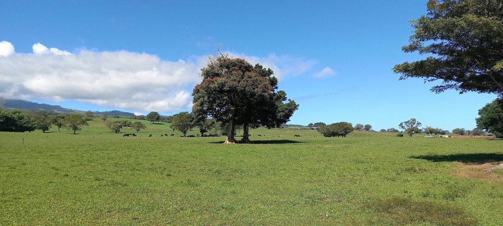 Plateau de Taravao-1