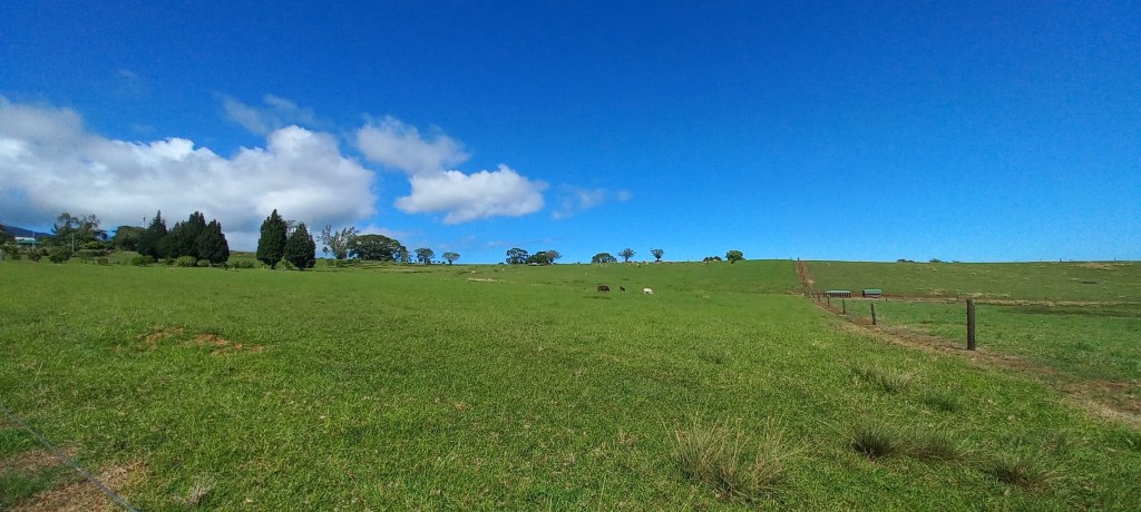 Plateau de Taravao-2