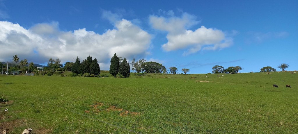 Plateau de Taravao-3