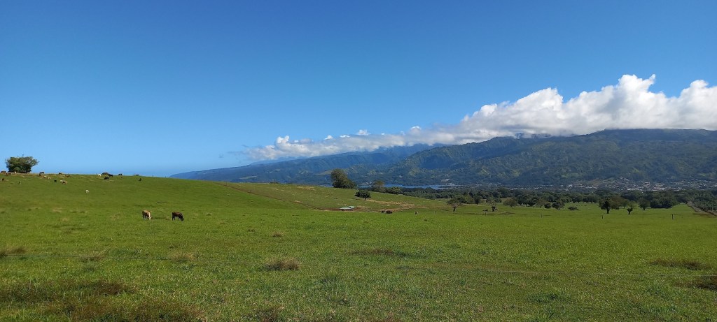 Plateau de Taravao-4