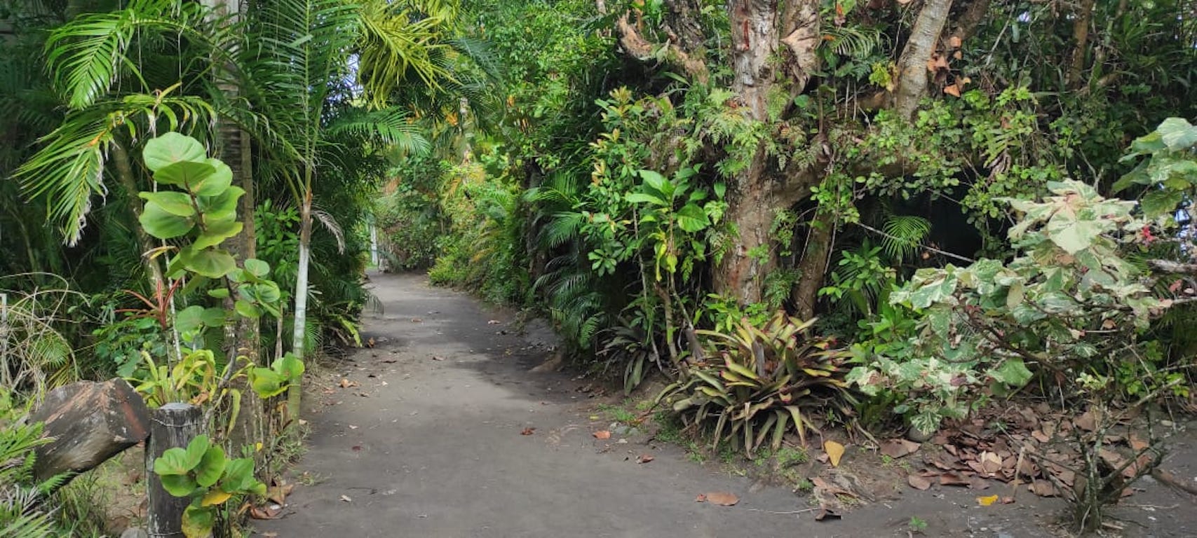 Village de Teahupoo-7